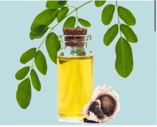 Moringa Oil - Shea Love London